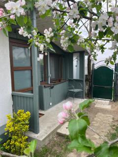 City Escape Garden Room 20 km from Bucharest - 9