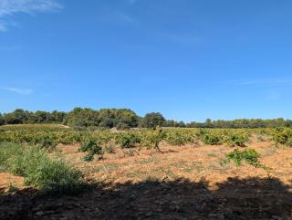 Les Cabanes de tout vent - 9