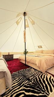 Night Stars Camp - 9