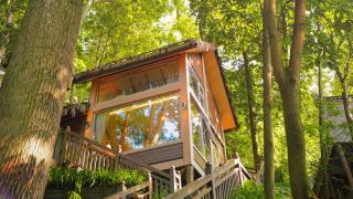 Phoenix Terrace Treehouse Homestay - 0
