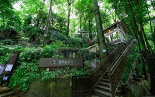 Phoenix Terrace Treehouse Homestay - 8