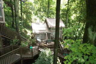 Phoenix Terrace Treehouse Homestay - 4