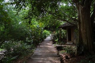 AZALA Lodge - 6