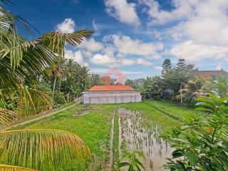 Cozy 1BR Meizanin Hartaning Villa Ubud Pool 205 - 2