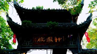 Phoenix Terrace Treehouse Homestay - 1