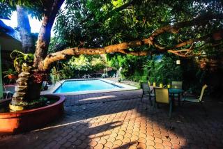 Bohol Tropics Resort - 7