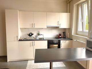 Fully Furnished down town - 7