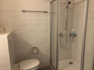 Fully Furnished down town - 3
