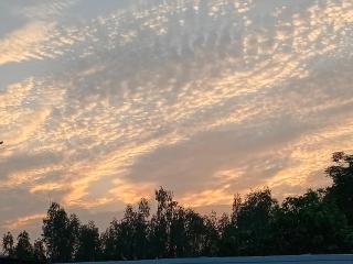 Paradise Gomti Pool - Private Luxury Resort - 6