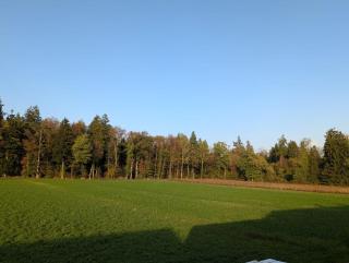 Waldblick Loft, Quiet, Emmental, Solothurn & Bern - 7