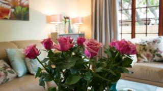 Lavender Lane - George - 6