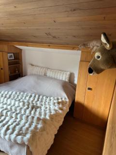 4-bedroom Chalet in the Heart of Gstaad - 9
