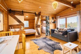 Ivalo Northern Lights Riverfront Cabin Lapland Sauna Hot Tub Near Airport - 3