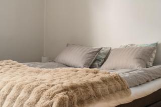 Spacious apartment with sauna by the river - 5
