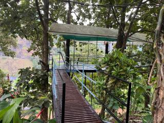 Edelweiss Home Stay - 5