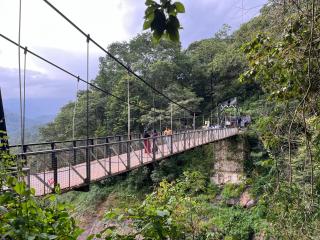 Edelweiss Home Stay - 2