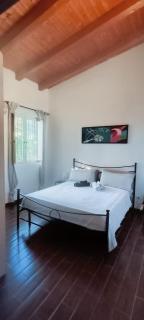 Polani - Il Noceto - 9