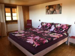 Apartment Ober-Tiefenbühl - 8