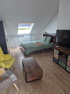 STUDIO COZY 20m2 - 0