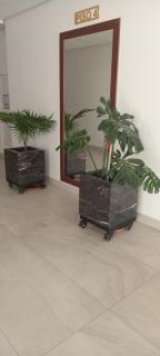 Top house - 3