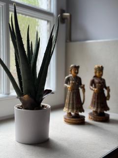 LIVA LIVING, Lifestyle Ferienwohnung mit Berg- & Seeblick - 4