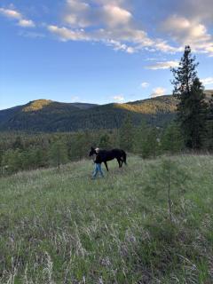 Yellow Shed Ranch Cottage - 5