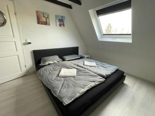 Kinzigtraum Hanau - 9