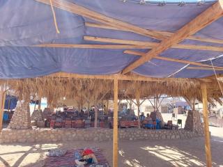 CampoAladino - 6