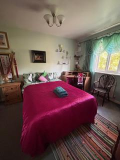Cosy room in London Wembley - 0