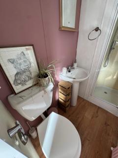 Shabby chic 6 Berth Caravan - 5