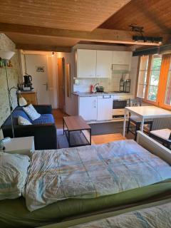 BnB Erlach - 7