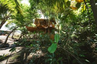 Simbiosis Treehouse Lower Suite - 4