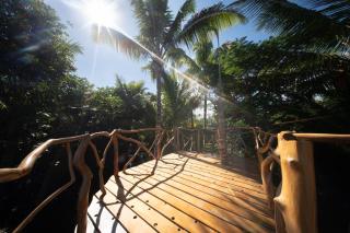 Simbiosis Treehouse Lower Suite - 3