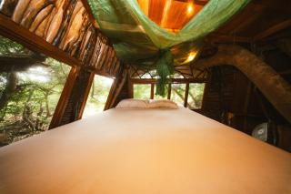 Simbiosis Treehouse Lower Suite - 5
