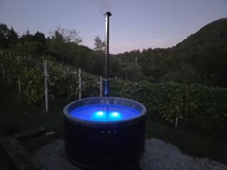 Robinson "Mountain getaway" with Private Hot Tub & Spa - 5