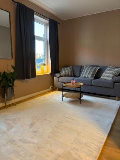 2-Newly redecorated apartment in the middle of Gjøvik city centre - 2