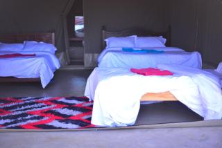 Leruk Mara Camp - 7
