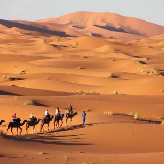 Magical dunes luxury camp - 5