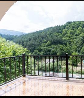 Terrace Villa in Dilijan - 2