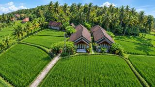 Amaya Ricefield & Jungle Cottages by Best Living - 0