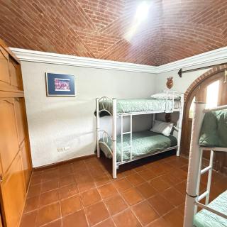 Hotel Casa Orquidea - 8