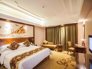 Vienna International Hotel Nanning Railway Station Mingxiu Road Metro Station - 3