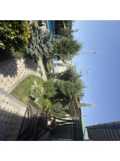 Dacha by Bex Sueno - 1