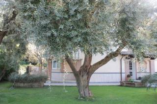 B&B Cavalieri - San Felice Circeo - 2