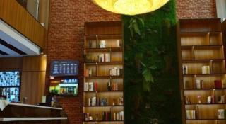 James Joyce Coffetel Lijiang Ancient City Dashuiche - 1