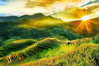 Căn hộ nguyên căn - 1