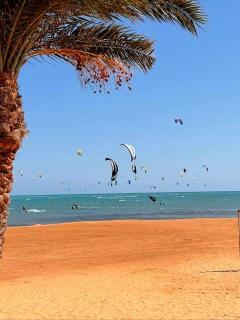 Scarab Club El Gouna - 1BR Apartment with Pool View, Terrace - Special Monthly Rates - 1
