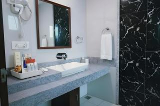 Hotel Apple Crest Inn - Near Delhi Airport - 7