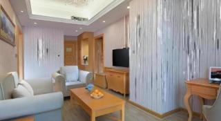 Vienna Hotel Guangdong Shanwei Luhe -  - 1