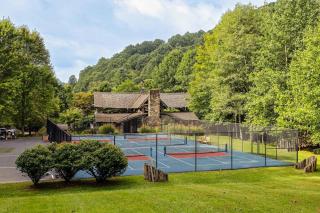 Hot Tub & Mtn Views: Wolf Laurel Home - 7